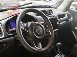 جيب رينيجيد